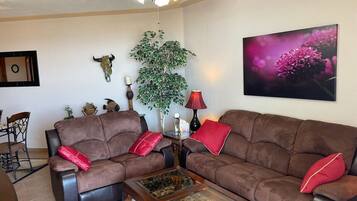 TV, fireplace, stereo