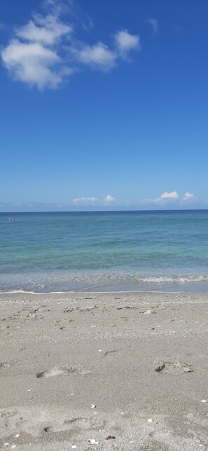 Camastros y toallas de playa 
