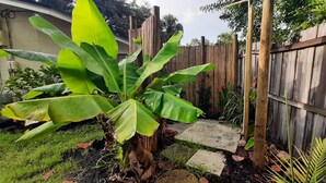 A garden with a banana plant, a wooden fence, and a concrete path. - Artist owned home near beaches (Venice)