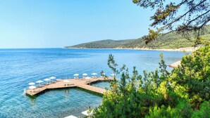 Un molo si protende in un mare blu e limpido, con una passerella in legno, circondato dal verde.