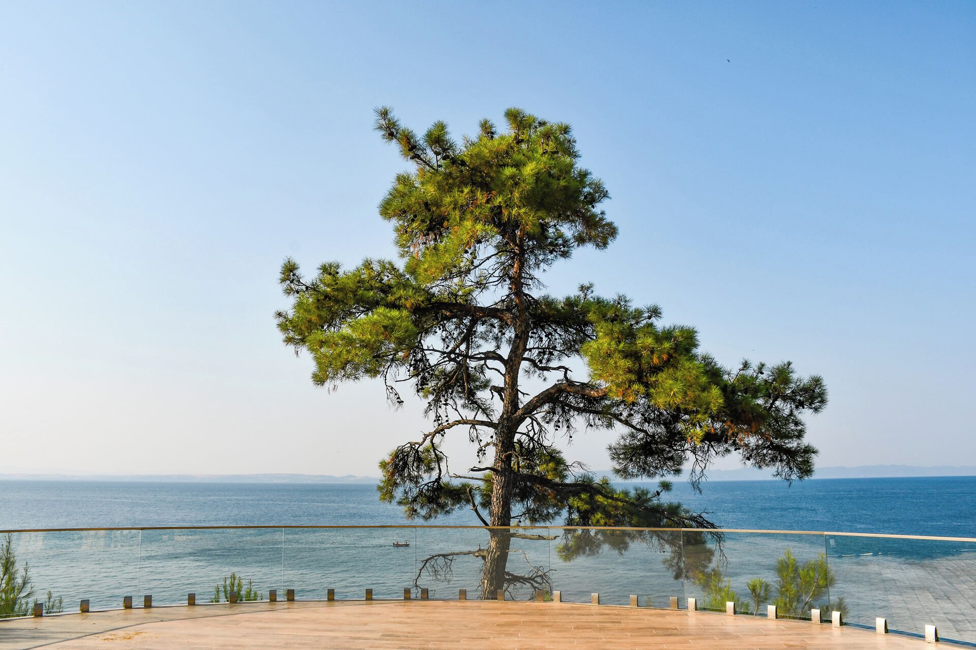 Hiên