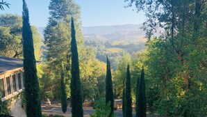 Un jardin agrémenté de cyprès majestueux, d’un chemin pavé et offrant une vue sur des collines lointaines.