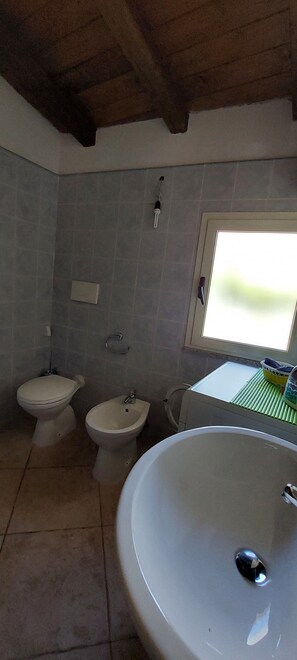 Shower, bidet