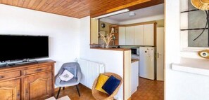 TV, fireplace, DVD player
