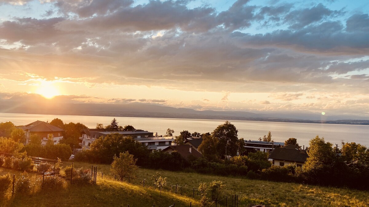 Bild für Gastgeberprofil