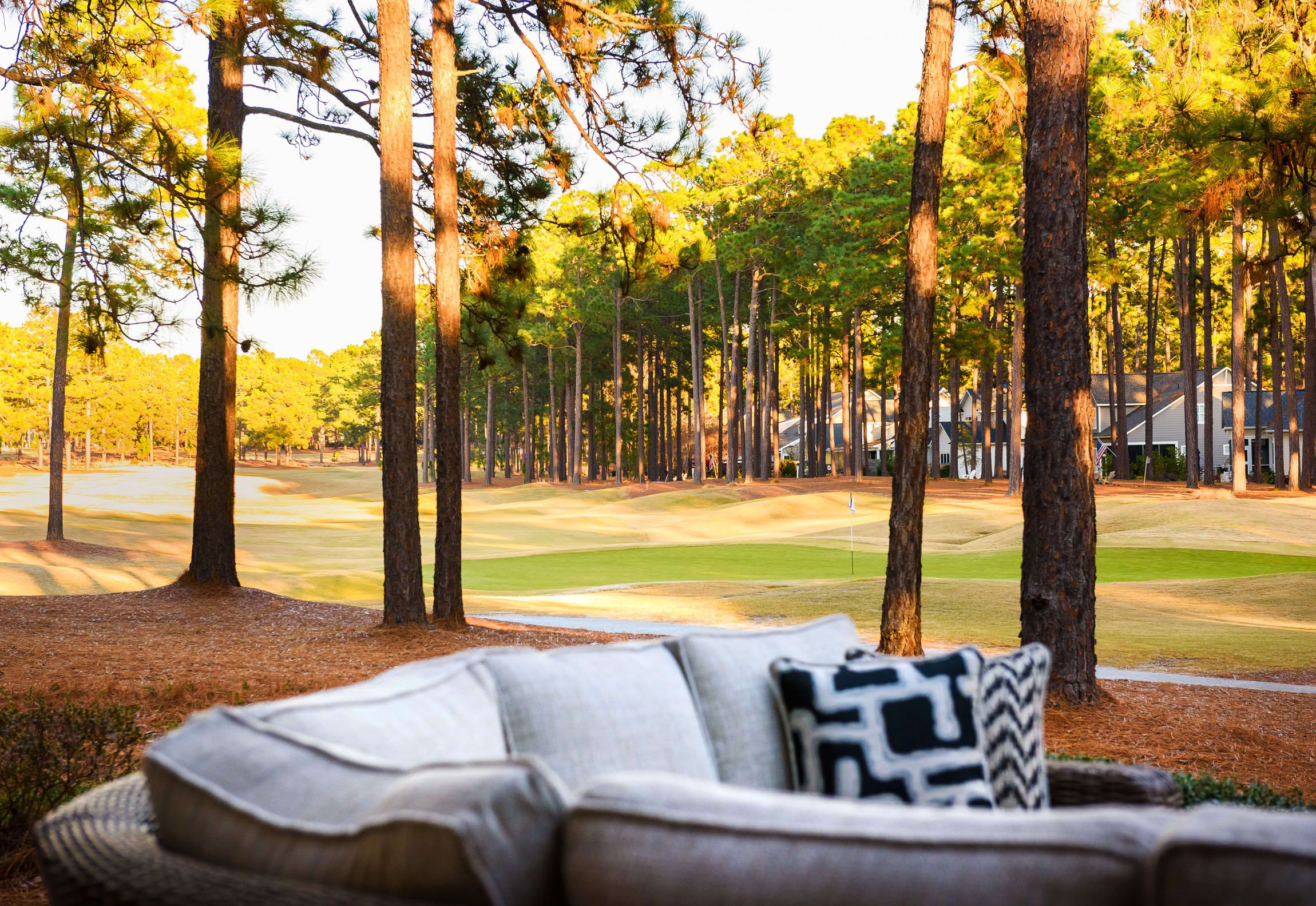 Une vue sur un terrain de golf, avec de grands pins et une maison en arrière-plan.