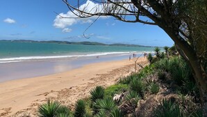 Ein Strand mit klarem türkisblauem Wasser, sandigem Ufer und vereinzelter Vegetation.