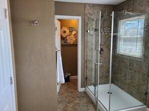 Combined shower/tub, jetted tub, hair dryer, towels