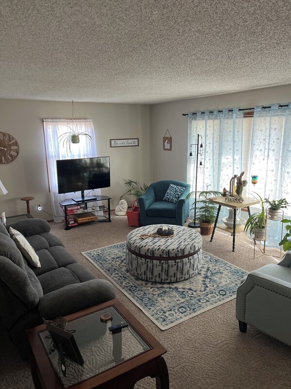 Älytelevisio, DVD-soitin