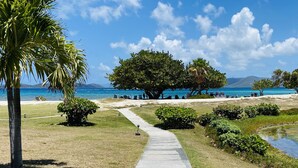 A pathway leading to a beach with a palm tree and a large tree in the foreground. - Crystal Cove At Sapphire Beach (St Thomas)