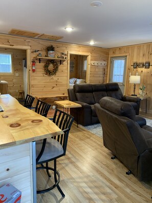 Smart TV, fireplace, DVD player, books