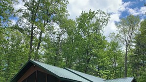A wooden cabin with a green roof, large windows, and a porch. - Modern Cabin located between Grindstone and Lac Courte Oreilles (Hayward)