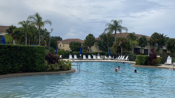 Una piscina amb gandules i palmeres.