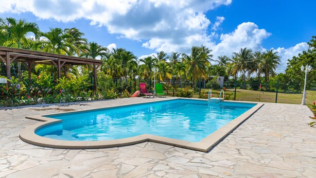 A swimming pool with a stone tile deck, surrounded by palm trees and a pergola. - Gîtes Papillon - Studio with swimming pool (Saint-François)