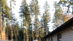 Una cabaña con terraza de madera, rodeada de un bosque.