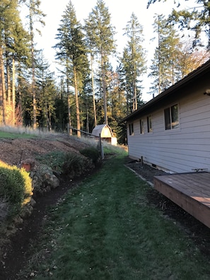 Escape to a serene natural haven surrounded by tall trees and a stone wall.