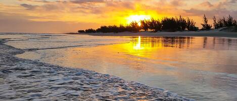 Playa en los alrededores, camastros y toallas de playa