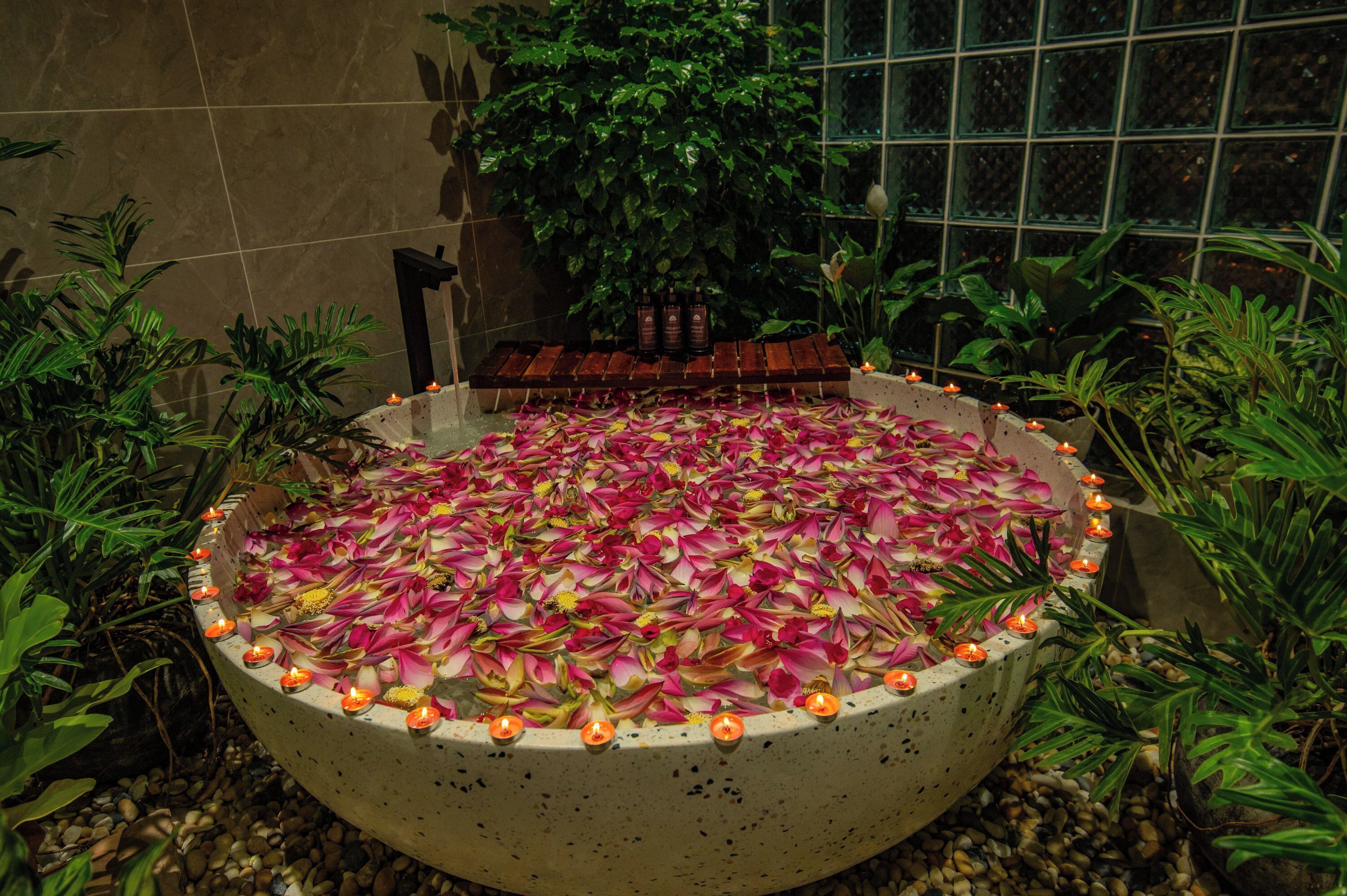 Egyptian cotton sheets, premium bedding, down duvets, pillow-top beds