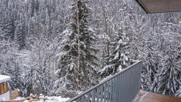 Eine Holzterrasse mit Metallgeländer, mit Blick auf einen verschneiten Wald.