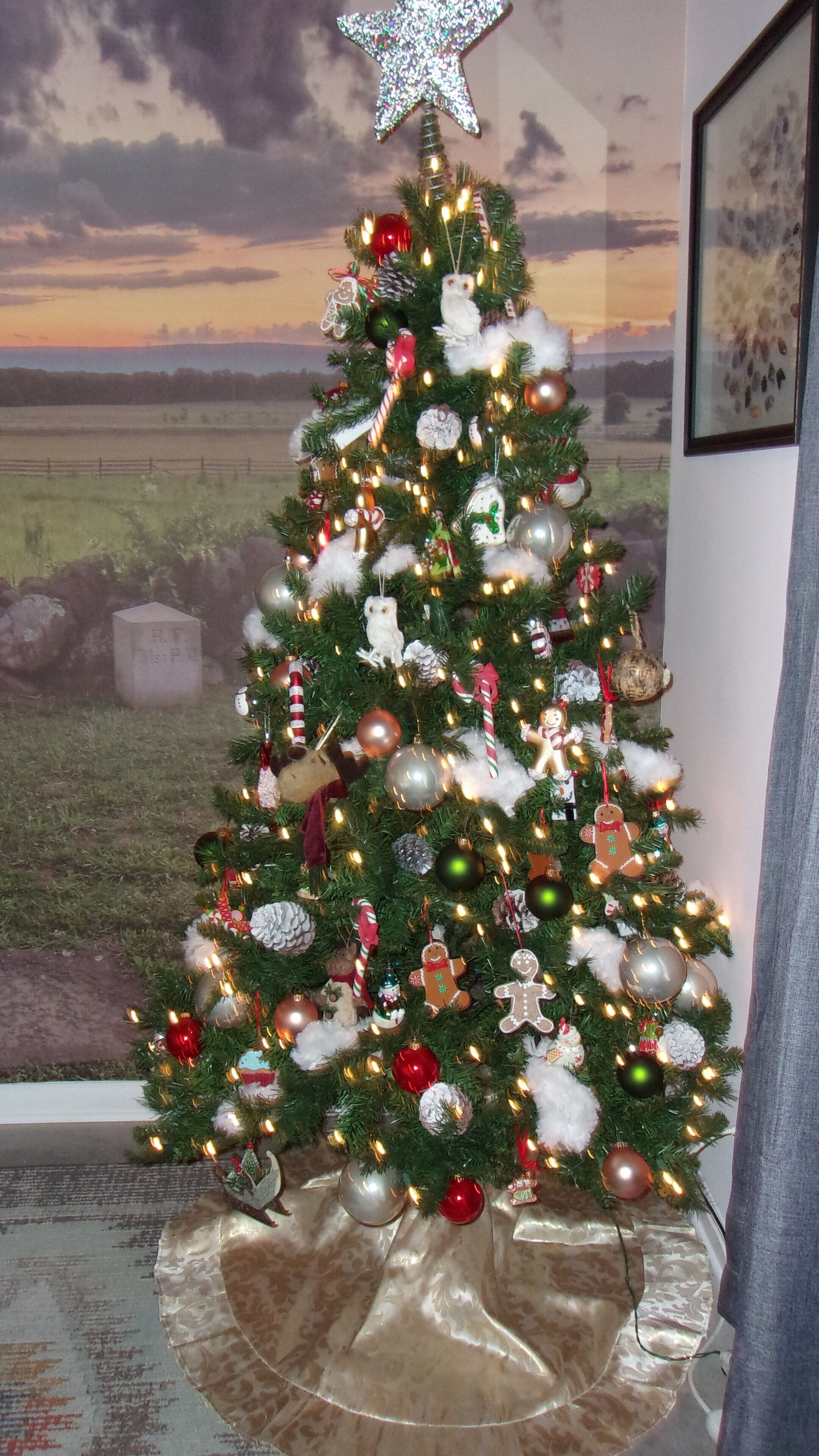 For the Kids or the big kid in you!