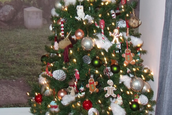 For the Kids or the big kid in you!