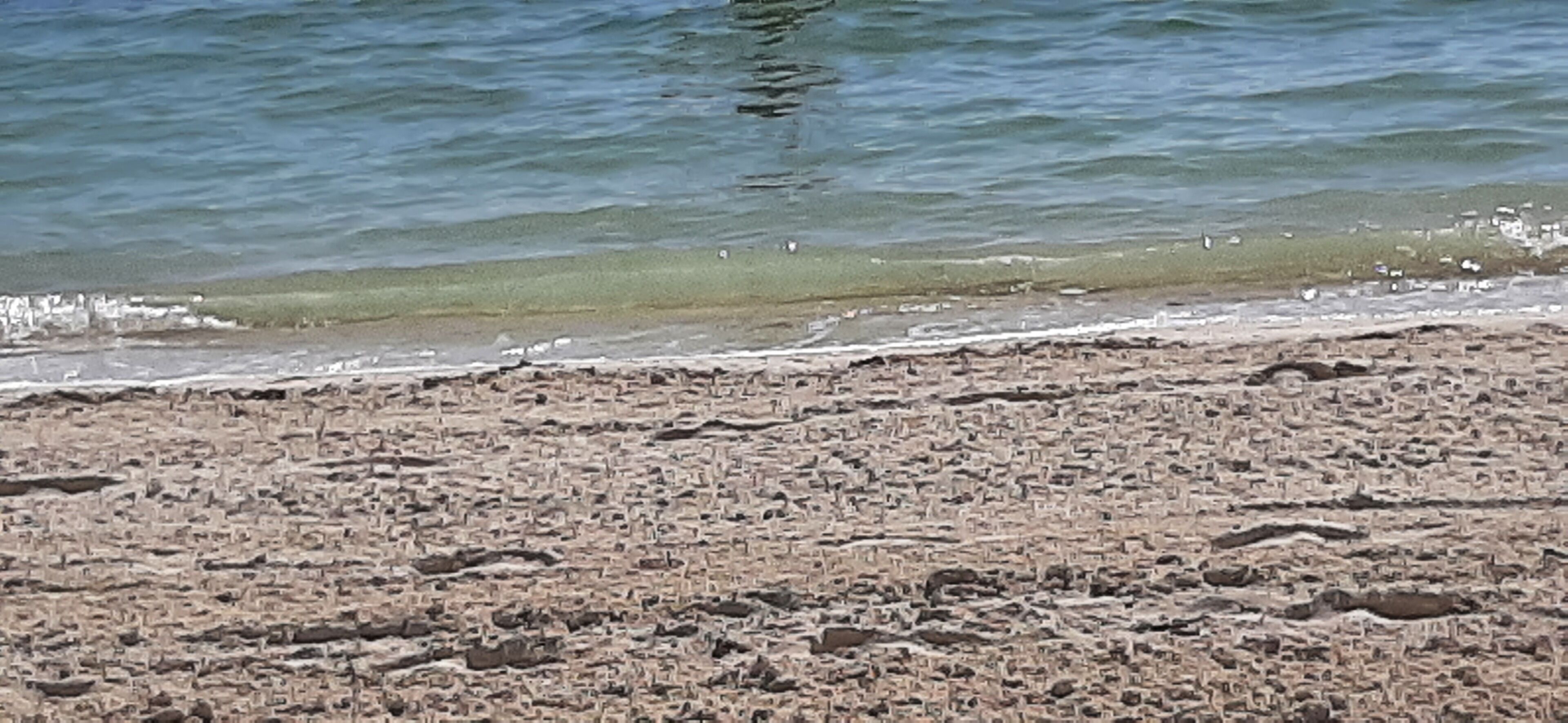 Ein sandiger Strand mit ankommenden Wellen.