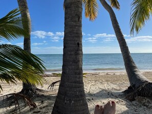 Ein Strandbild mit Palmen und blauem Himmel.