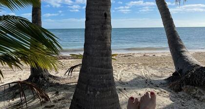 Beach Condo in Paradise