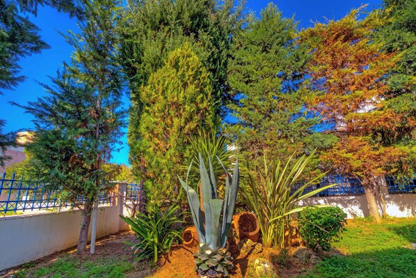 Terrain de l’hébergement 