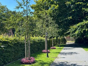 Photo non classée, 3 sur 33, bouton