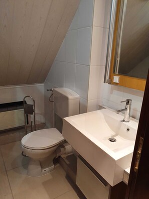 A bathroom with a toilet, sink, and mirror.