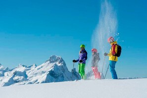 Unclassified image, 5 of 26, button