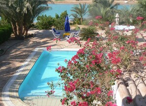 A swimming pool with a tiled deck, surrounded by palm trees and bougainvillea flowers. - White villa with a private pool, direct beach access, 5 minutes from the El Gouna Golf Course (EL GOUNA)