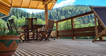 4-Sterne-Ferienhaus in La Bresse, großer Komfort, nahe Skigebiet