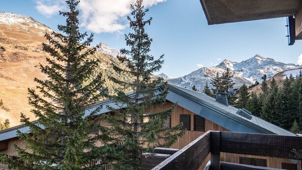 Property grounds - Méribel Mottaret Condo - Ski-in/Ski-out, 3BR, 8 guests, WIFI (Les Allues)