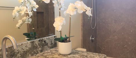 Combined shower/tub, hair dryer, towels, soap