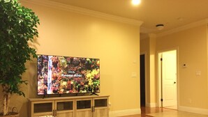 A living room with a flat-screen TV on a wooden cabinet, a large potted plant, and patterned area rugs.
