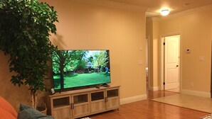 A living room with a flat-screen TV on a wooden stand, a potted plant, and a patterned rug.