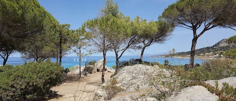 بالقرب من الشاطئ، كراسي للتشمس