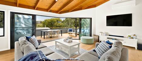 TV, fireplace, DVD player, books