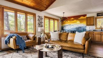 Smart TV, chimenea, videojuegos y libros