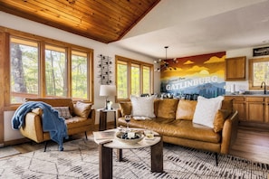 Smart TV, fireplace, video games, books