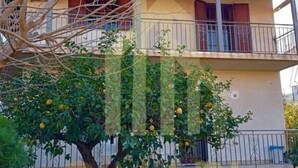 Ein zweistöckiges Gebäude mit Balkon, umgeben von Grünpflanzen und einem Zitronenbaum.