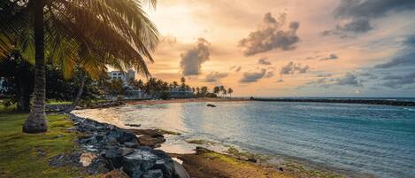Plage, chaises longues, serviettes de plage