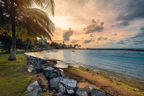 Una playa con una palmera, costa rocosa y agua tranquila.