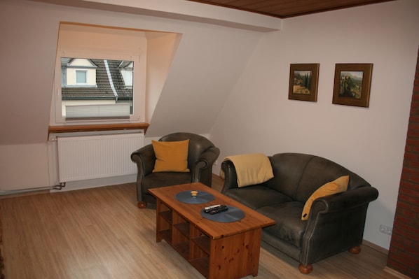 Televisión, reproductor de DVD y libros