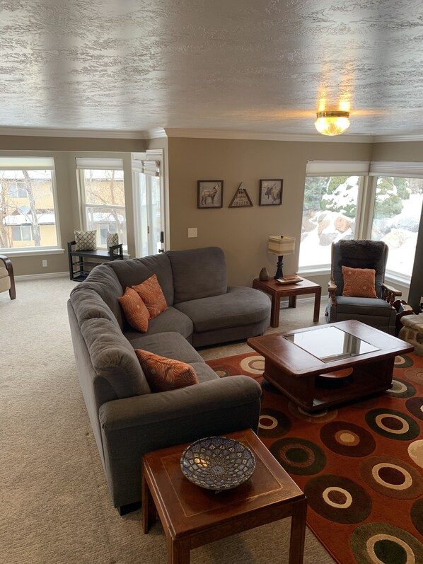 Smart-TV, Kamin, DVD-Player, Videothek