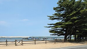 A beach with a wooden fence, boats, and trees. - Sleeps 18!  Heated pool and lake access. (Mears)