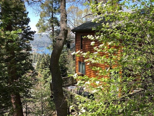 Peaceful Cozy Cabin Amongst the Trees with View of Lake Arrowhead