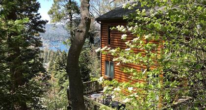 Peaceful Cozy Cabin Amongst the Trees with View of Lake Arrowhead